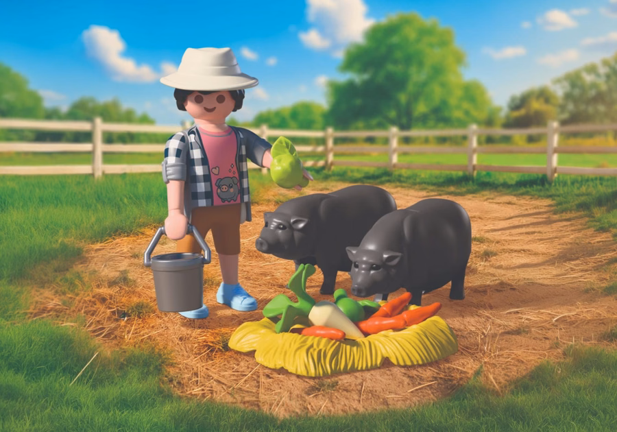 Fermier cu porci cu burtă