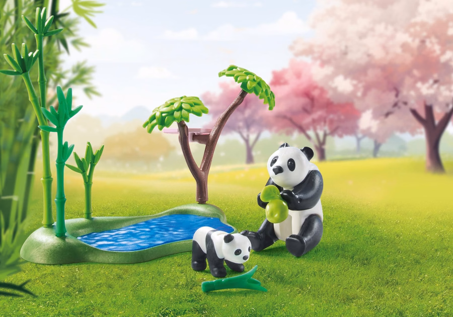 Grădină asiatică cu panda